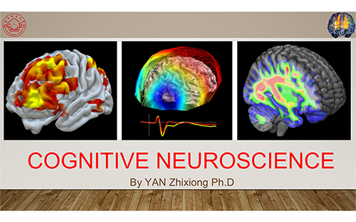走进认知神经科学