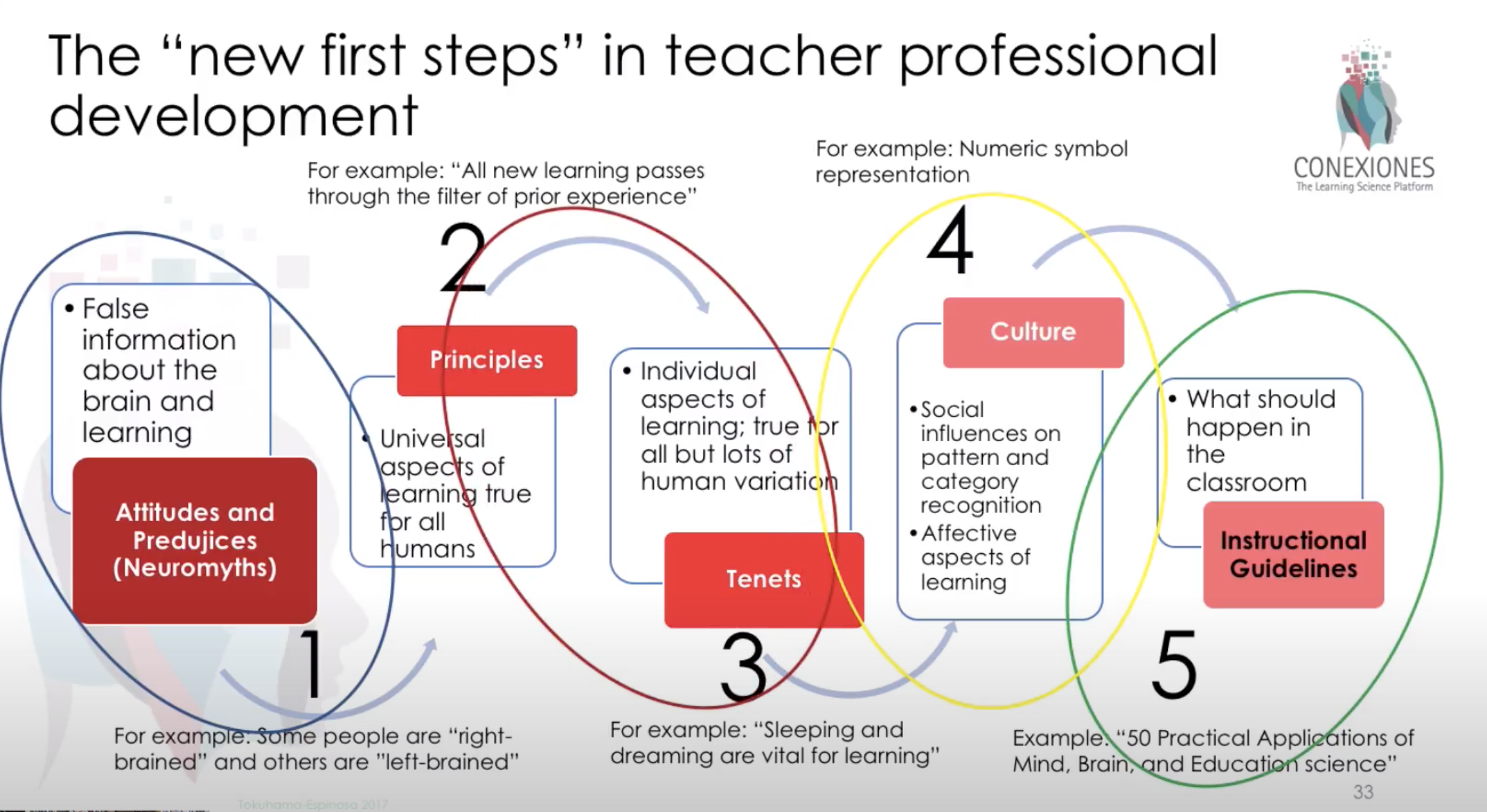 Principles based on Neuroeducation/基于教育神...