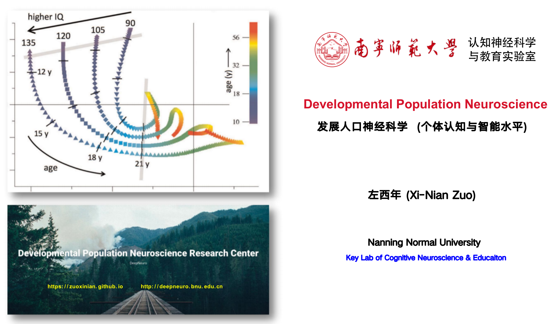 发展人口神经科学：个体认知与智能水平