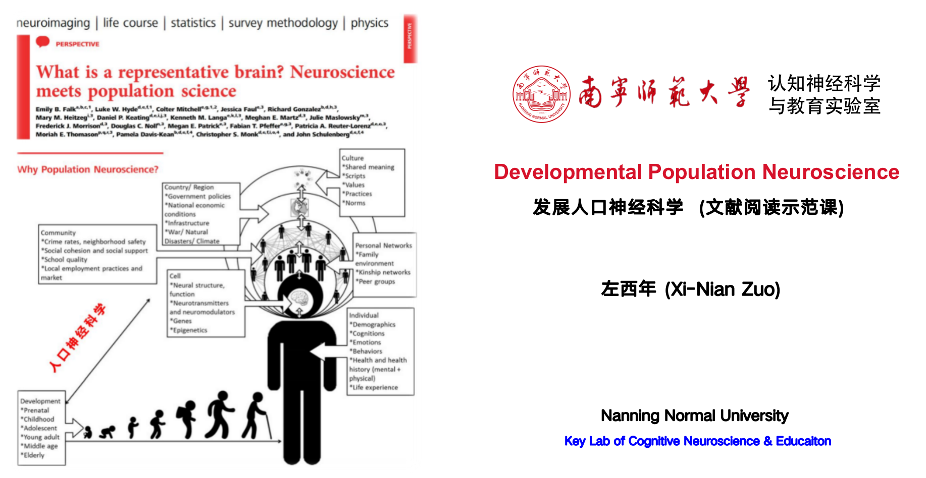 发展人口神经科学：文献阅读示范课