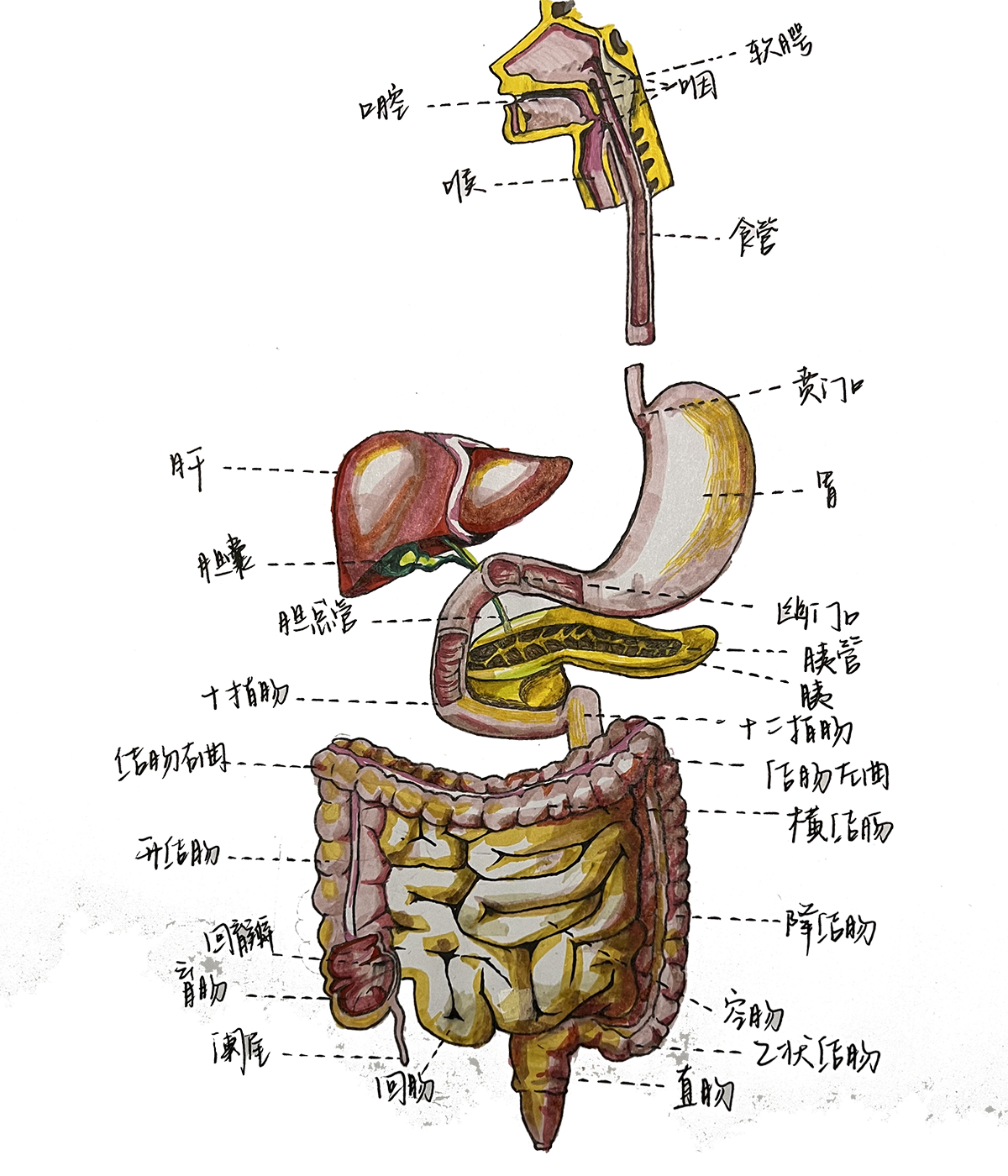 20221117/d65cfab96c1bff6ede501fc0b75af95d.png